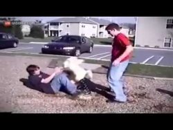 Das tut weh - Fails die auf die Eier gehen das tut weh fails die auf die ei