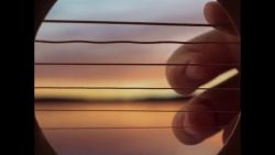 der blick aus einer gitarre hina