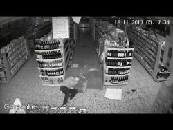 der duemmste einbrecher des mona