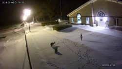 Der Fuchs und die Eule im Schnee der fuchs und die eule im schnee