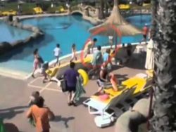 der grosse wettkampf um die lieg