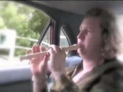 der titelsong vom film titanic m