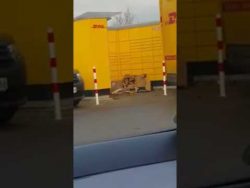 DHL wirft Pakete aus dem Wagen dhl wirft pakete aus dem wagen