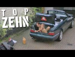 die 10 komischsten sichtungen au 1