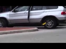 die frau und die parkkralle