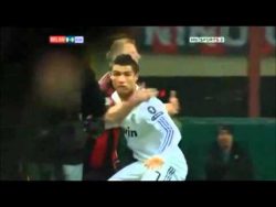 die lustigsten schwalben