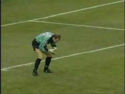 die lustigsten und schmerzhaftes