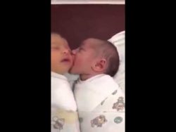 dieses baby nuckelt seinen nachb