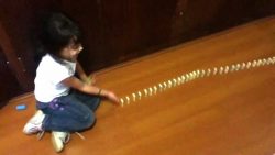 Domino Schlange fällt nicht um domino schlange faellt nicht um