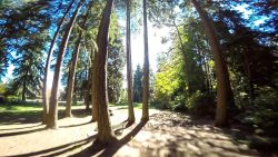 drone racing fpv quadcopter