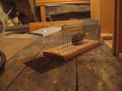 du bist frei wirst aber gleich u