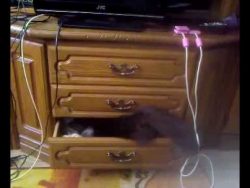 du wirst mich niemals finden