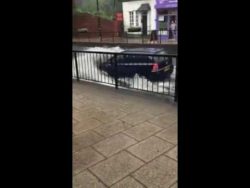 dummer autofahrer faehrt mit aut