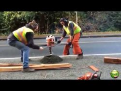 dummheit siegt auf dem bau nicht