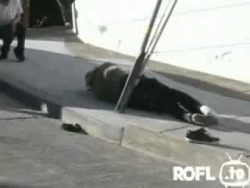 Eierbrecher Exreme eierbrecher