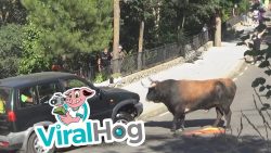 Ein ganz schlechter Ort um sein Fahrzeug zu parken ein ganz schlechter ort um sein