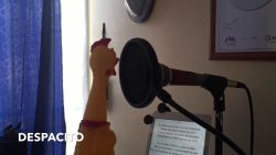 Ein Gummihuhn singt quitsche Despacito ein gummihuhn singt quitsche des