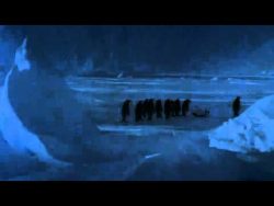 ein pinguin faellt hin bei glatt