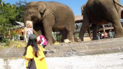 eine kleine elefantenfluesterin