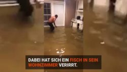 Einen Fisch im eigenen Wohnzimmer fangen einen fisch im eigenen wohnzimme