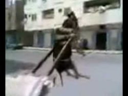 esel haengt ab bei der arbeit