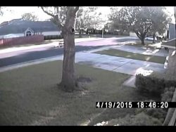 Fahrraddieb wird gefangen fahrraddieb wird gefangen