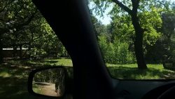 familie steigt im safari park au