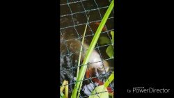 fisch frisst anderen fisch im aq