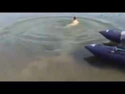 fisch mit dem schwanz angeln