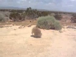 fliegende buesche machen strasse