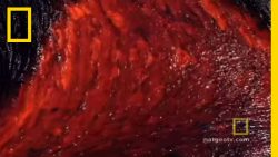 fluessige lava im vulkan