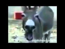 Frau fällt auf Ihren Hintern frau faellt auf ihren hintern