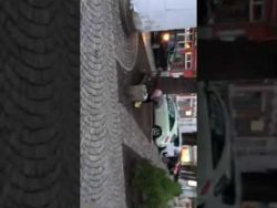 frau kackt auf parkbank in der o