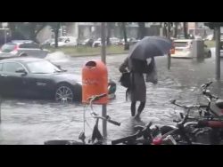 Frau möchte auf die andere Straßenseite frau moechte auf die andere stra