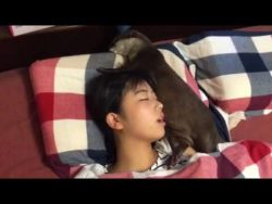 Frau und Otter schlafen zusammen im Bett frau und otter schlafen zusammen