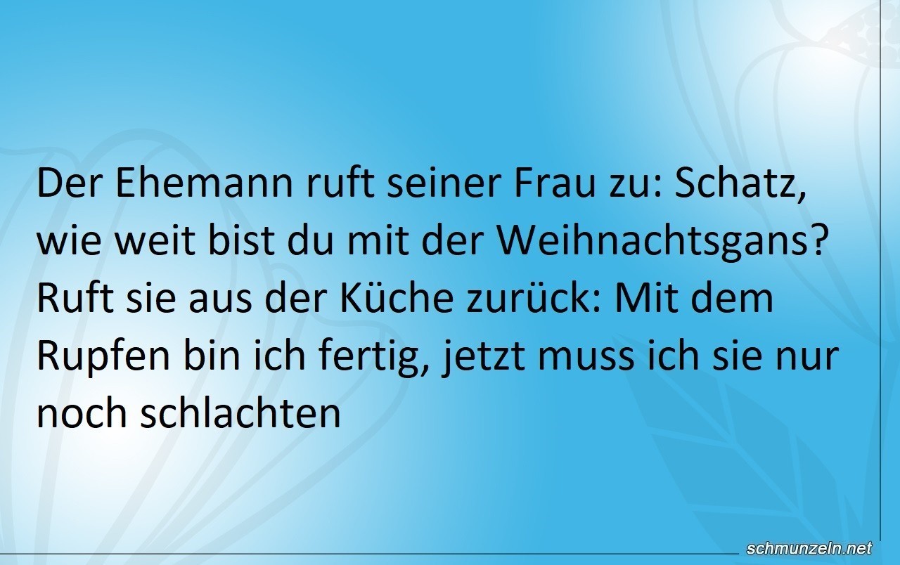 Schatz, wie weit bist du mit der Weihnachtsgans? frau weihnachtsgans