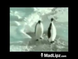 Freibier! Freibier! freibier freibier