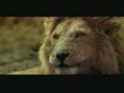 fruehstueck frei haus fuer die l