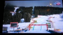 fuchs klaut den geldbeutel