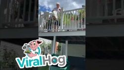 ganz schnell den muell wegbringe