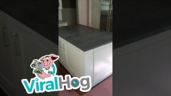 geheimer weinkeller unter der ku