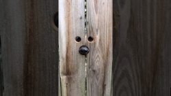 Guckloch für einen Hund guckloch fuer einen hund