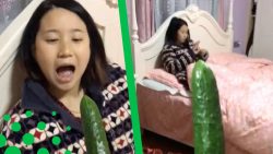 Gurke mit Fleischbeilage für die Freundin gurke mit fleischbeilage fuer di