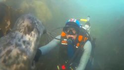 guten tag unter wasser sagen