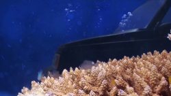 gutes video fuer den verkauf ein