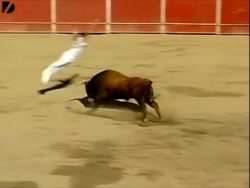 guy jumps over a bull