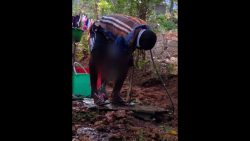 Harte Füße aus Stahl haben harte fuesse aus stahl haben