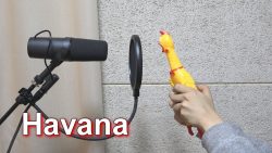 Havanna - Musik mit Gummiente machen havanna musik mit gummiente mach