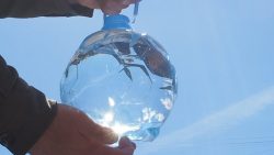 heisse fussballwasserflasche