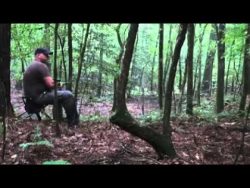 heulen wie ein kojote